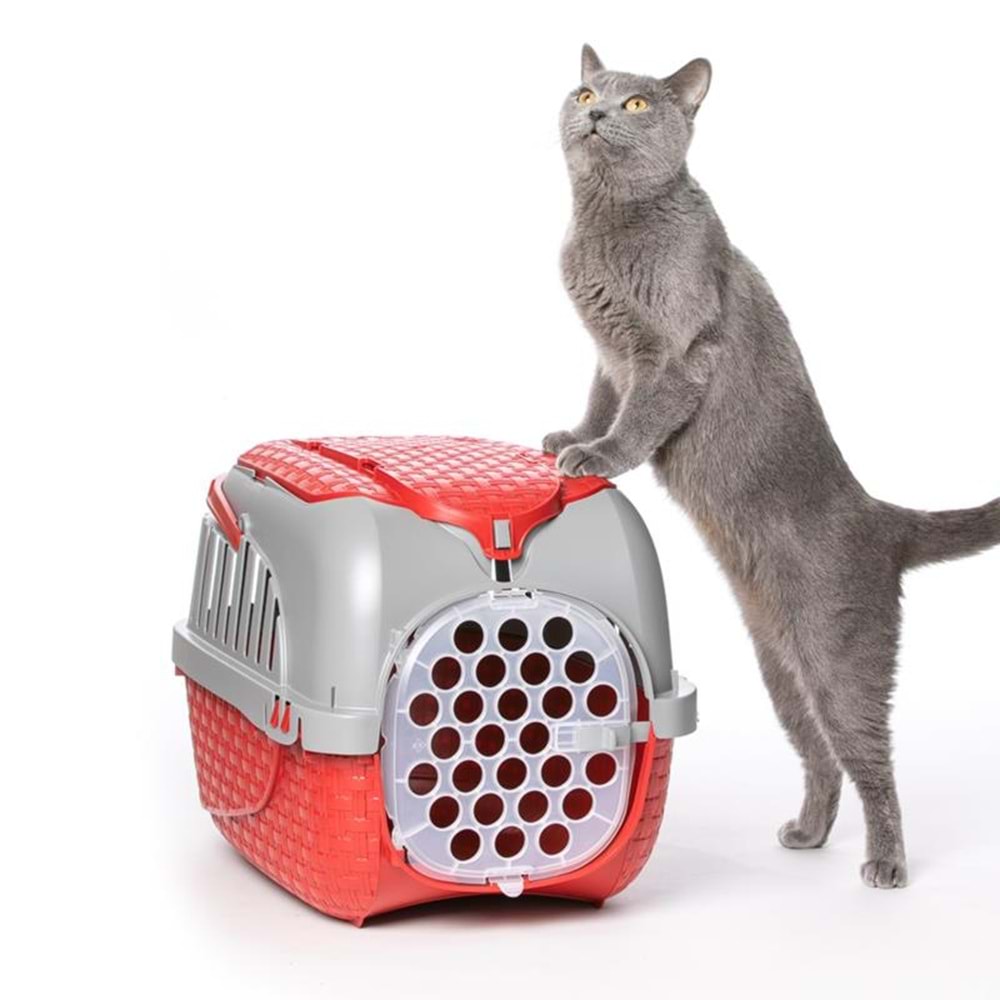 Bama Köpekler Ve Kediler İçin Transporter Kırmızı 52X33X34 Cm