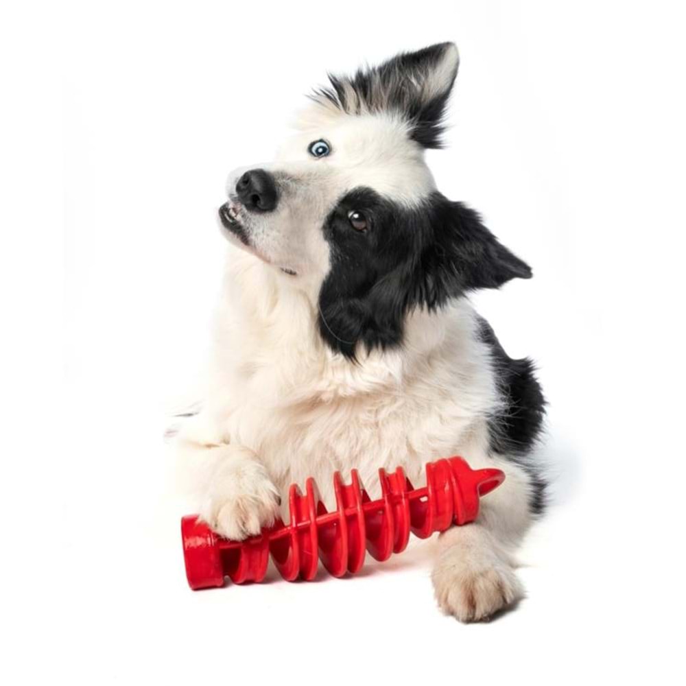 Bama Tıra&Molla Köpek Oyuncağı