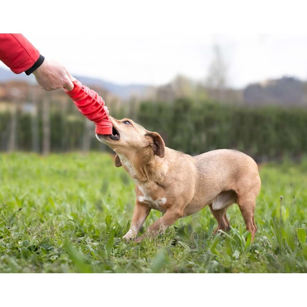 Bama Tıra&Molla Köpek Oyuncağı