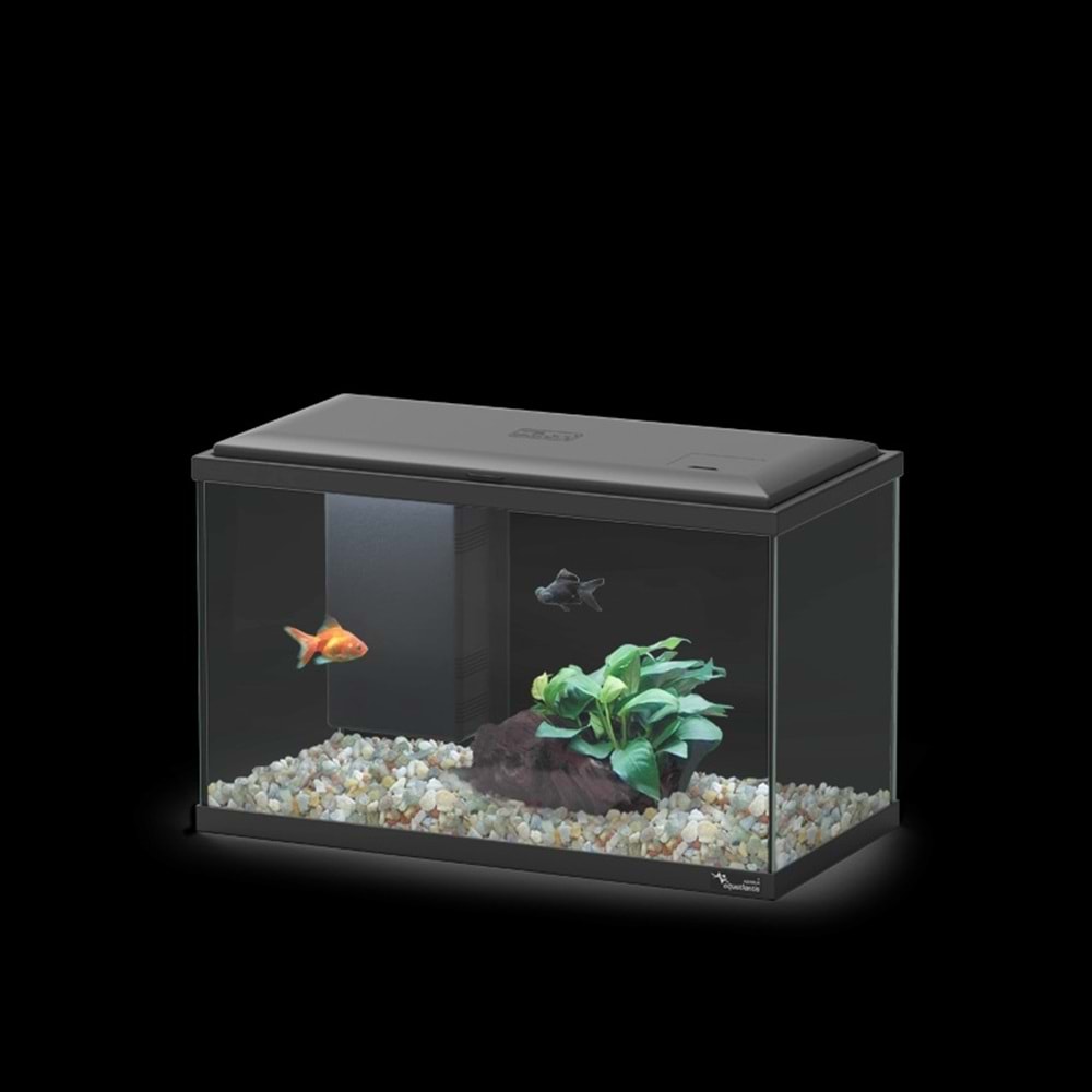 EXPLORER LISBON COR001 LED BIO Siyah