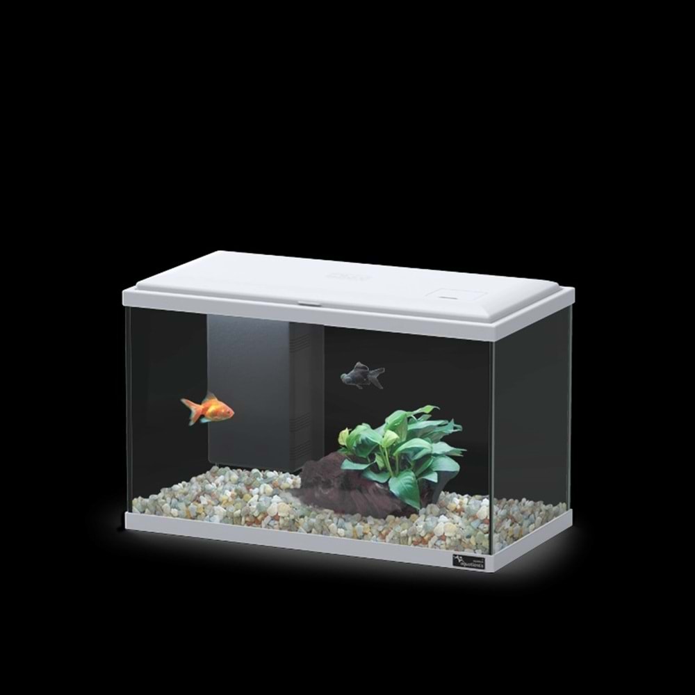 EXPLORER LISBON COR043 LED BIO Gri