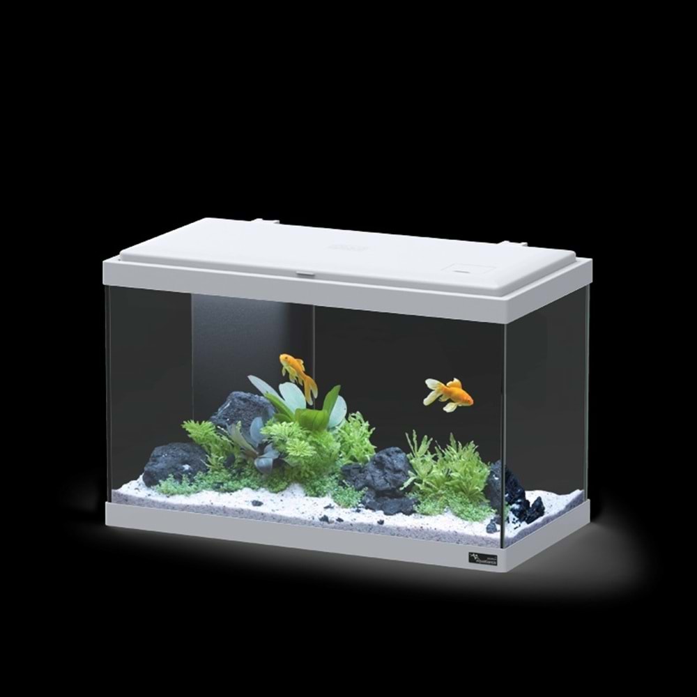 EXPLORER VIENNA COR043 LED BIO Gri