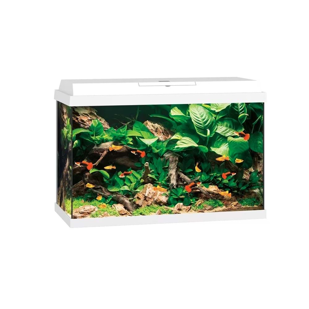 Juwel Akvaryum Komple Set Primo 70 2.0 Beyaz 61X31X44 Cm 70 Lt Mobilyasız