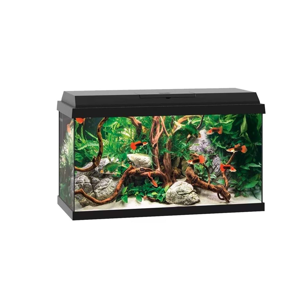 Juwel Akvaryum Komple Set Primo 70 2.0 Siyah 61X31X44 Cm 70 Lt Mobilyasız