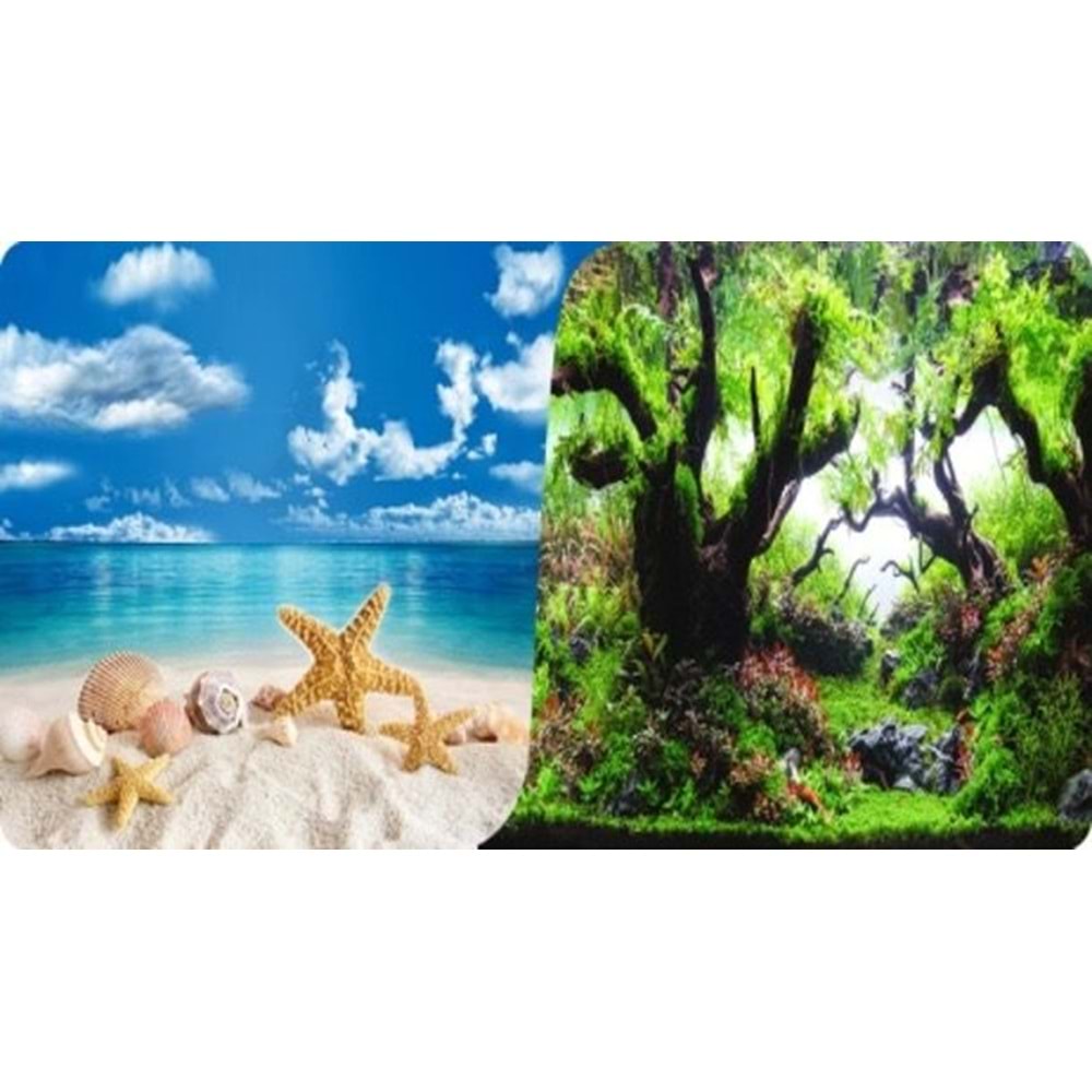 Plastik Poster Deniz Bitki 40Cm-15Mt 265-124