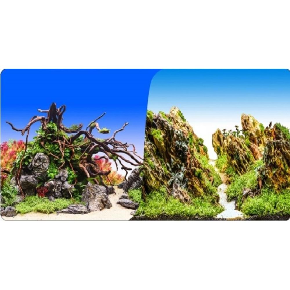 Plastik Poster Kaya Bitki 30 Cm 15 Mt