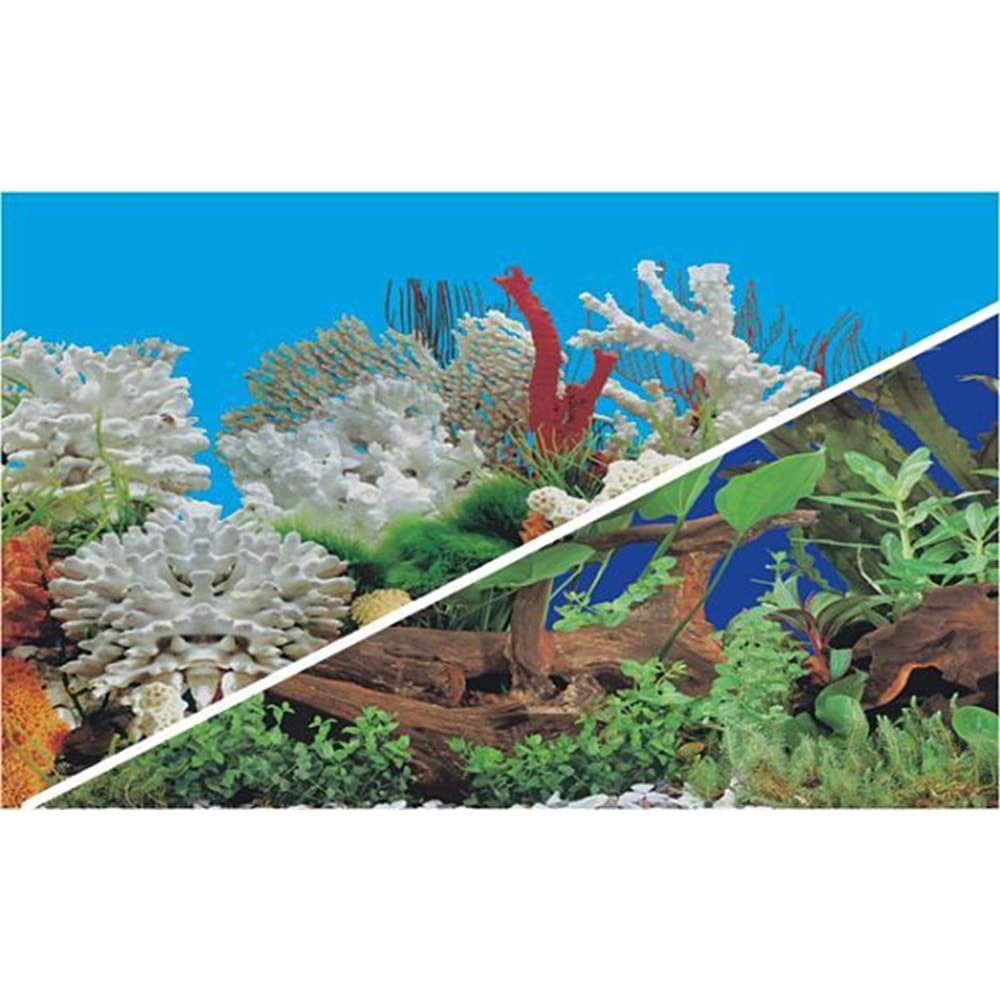 Plastik Poster Mercan-Bitki 40Cm-15Mt