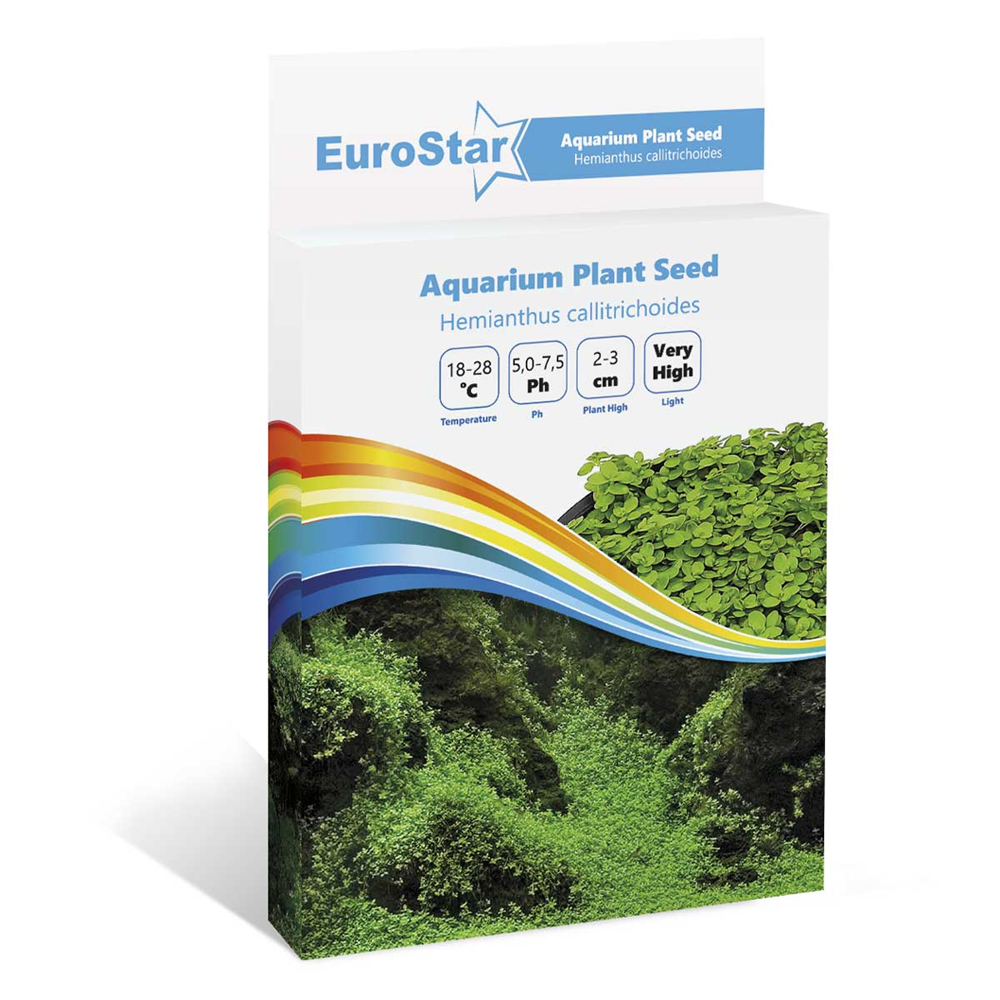 Eurostar Bitki Tohum Medium Leaf Base Blant