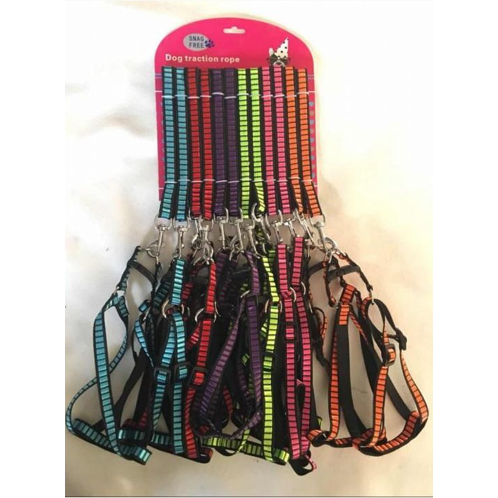 Maxi Life Gezd.Renkli Göğüs Tasması 12'Li Set