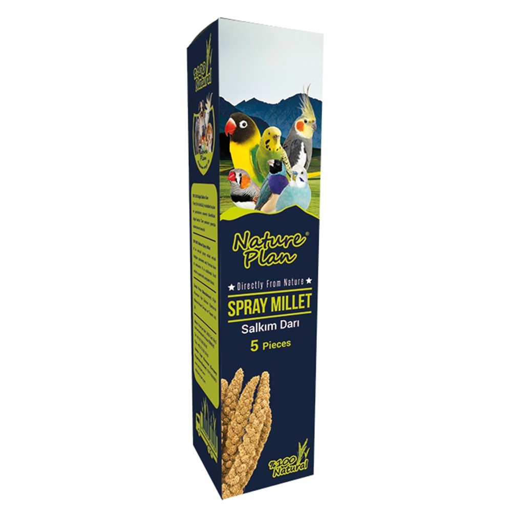 Nature Plan Salkım Darı 5 L(12)