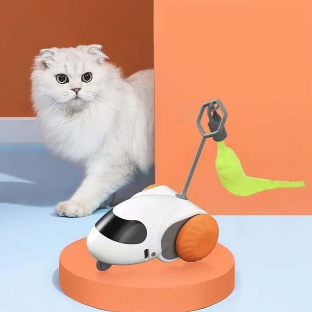 Nunbell Kedi Oyuncagı Hareketli Oyuncak Araba