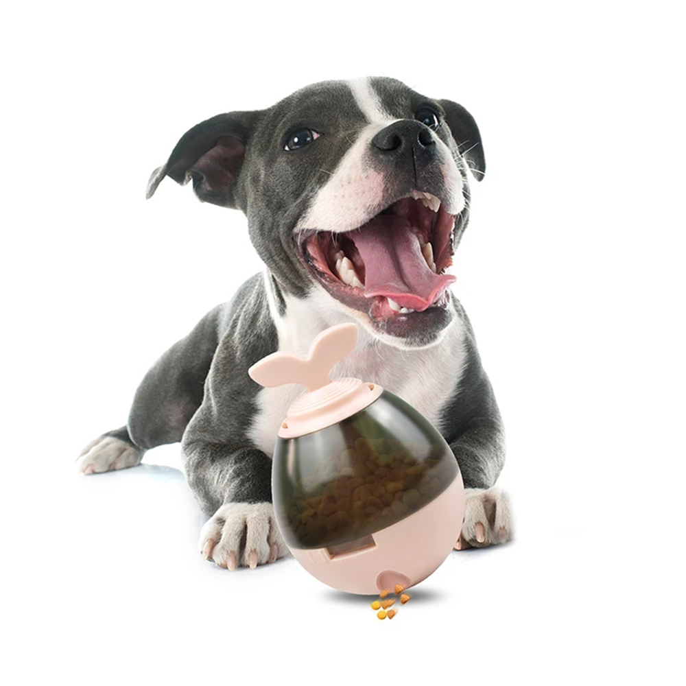 Nunbell Puppy Egitim Oyuncagı