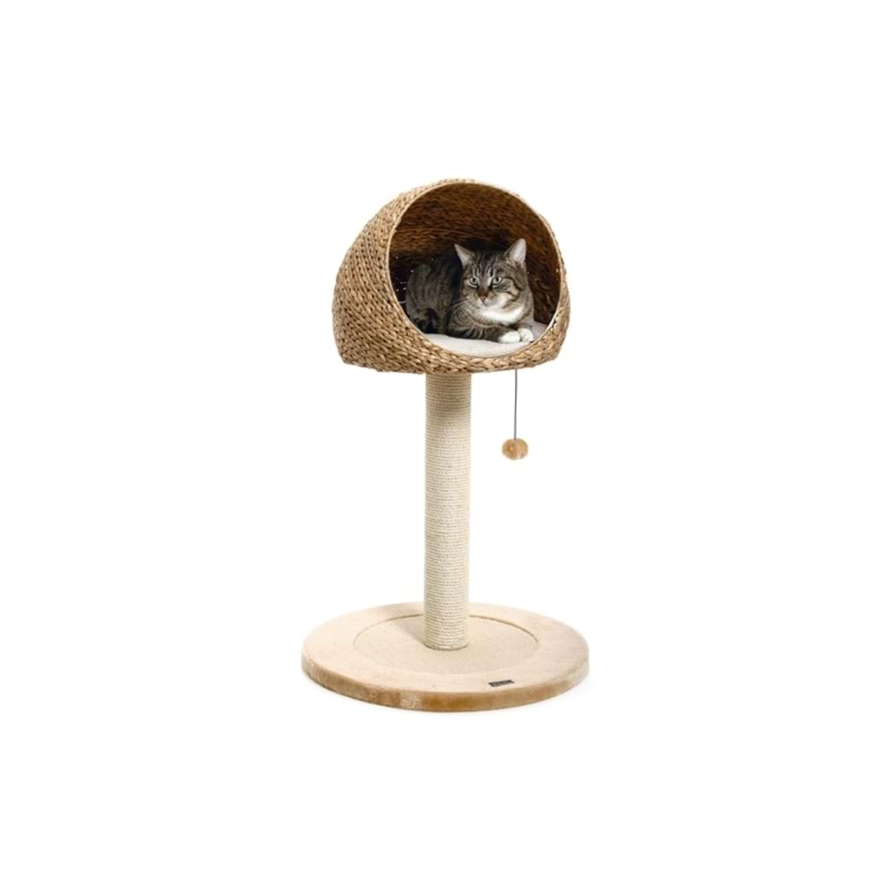 Kedi Tırmalama Muz Yaprağı Iı 56*93 Cm