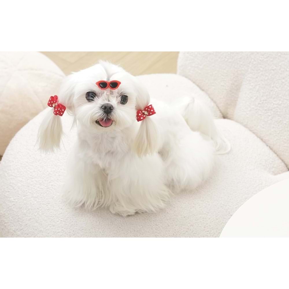 60900299 GLAM KÖPEKLER İÇİN AKSESUAR TOKA RED