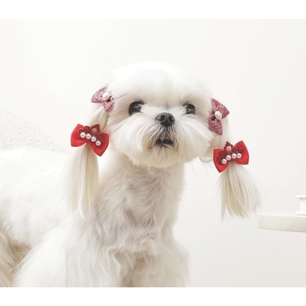 60900599 GLAM KÖPEKLER İÇİN AKSESUAR TOKA RED