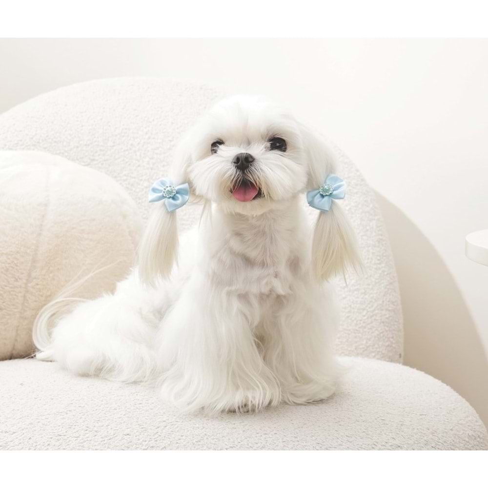 60900699 GLAM KÖPEKLER İÇİN AKSESUAR TOKA BLUE