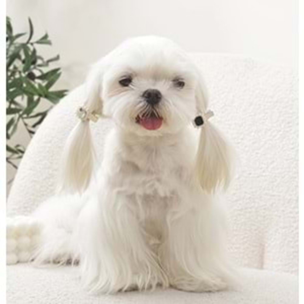 60901599 GLAM KÖPEKLER İÇİN AKSESUAR TOKA BLACK/SİLVER