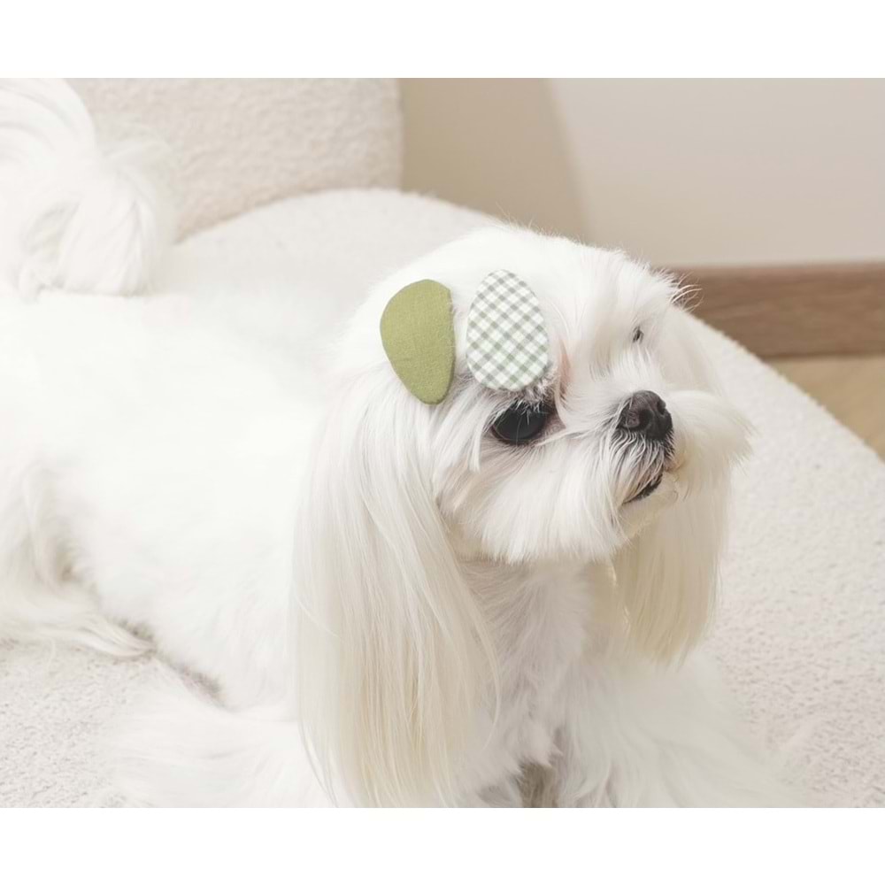 60902199 GLAM KÖPEKLER İÇİN AKSESUAR TOKA GREEN