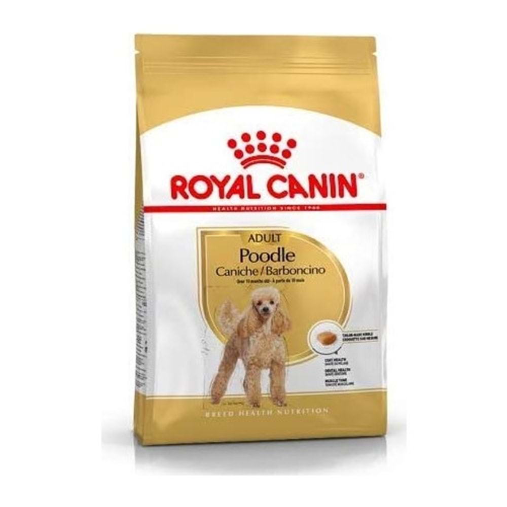 ROYAL CANİN POODLE ADULT 3 KG