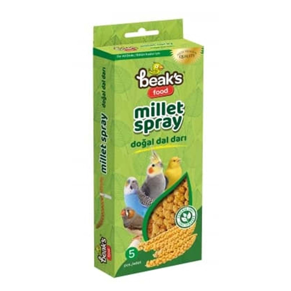 ST001 BEAKS SARI DOĞAL DAL DARI 5Lİ