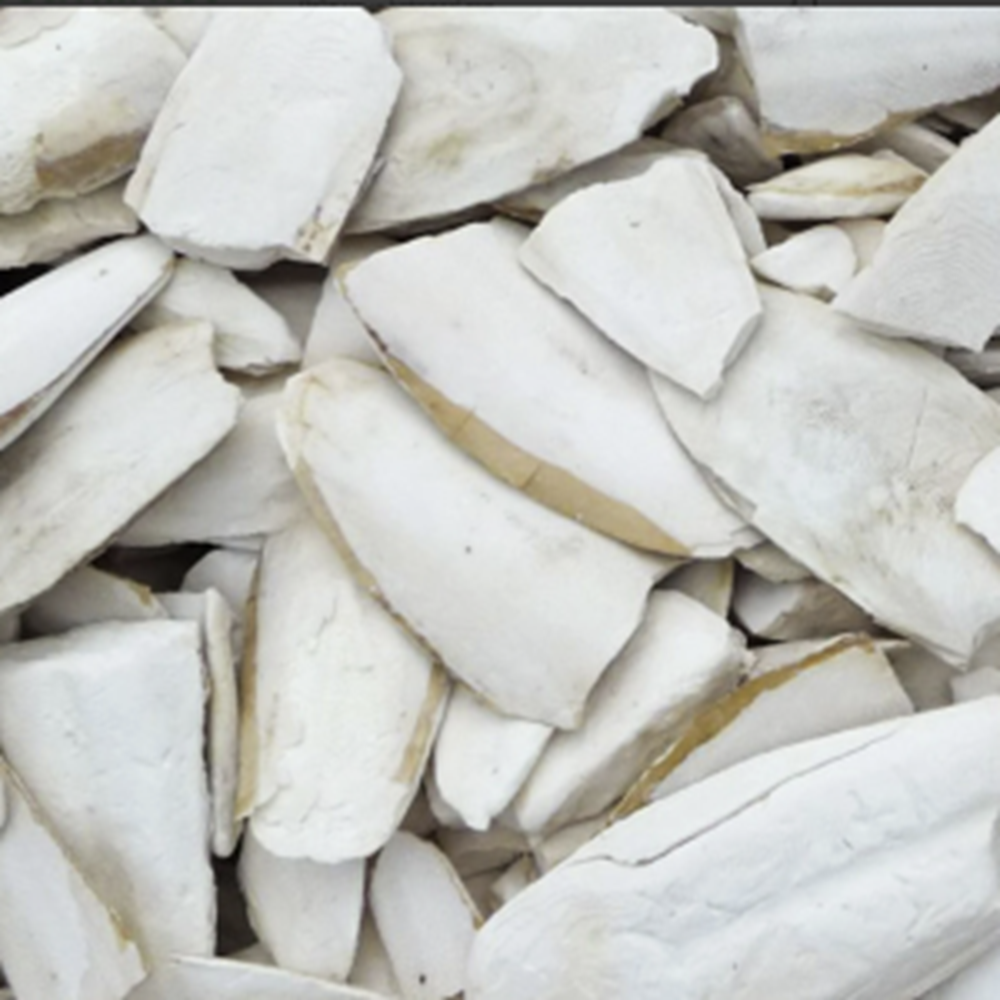 Kırıklı Kalamar Kemiği 10 Kg
