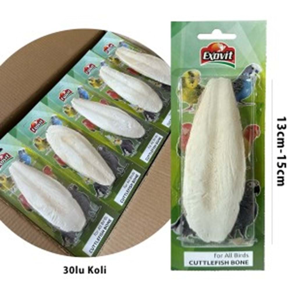 Exovit Kalamar Kemiği 13Cm-15Cm Blister Kutulu