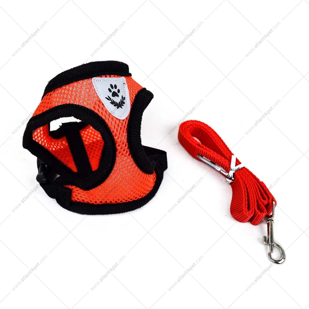 21-2-32 FİLELİ BEL TASMA TAKIM (1,5 CM)