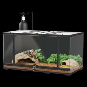 Terratlantis KIT SERPENT ADULT Teraryum Seti
