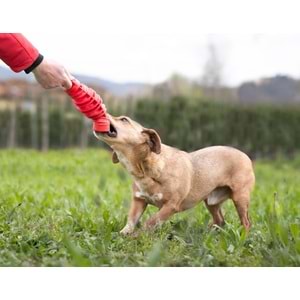 Bama Tıra&Molla Köpek Oyuncağı