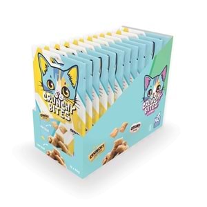 20646299 CRUNCHY BITES PEYNİRLİ KEDİ ÖDÜLÜ 60GR