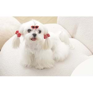 60900299 GLAM KÖPEKLER İÇİN AKSESUAR TOKA RED