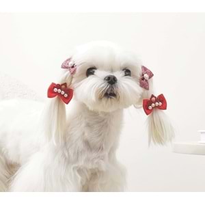 60900599 GLAM KÖPEKLER İÇİN AKSESUAR TOKA RED