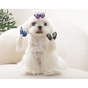 60900899 GLAM KÖPEKLER İÇİN AKSESUAR TOKA BLUE/PURPLE/GREEN