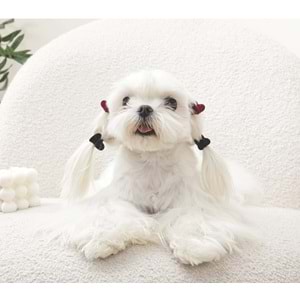 60901199 GLAM KÖPEKLER İÇİN AKSESUAR TOKA BLACK/RED