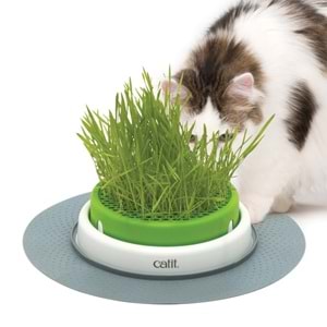 Catit Senses 2.0 Grass Planter Kedi Çimi Seti