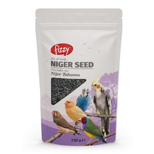 Fizzy Nijer 250Gr 12'Li Paket