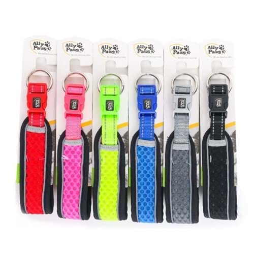 10758 ALLY PAWS DOG COLLAR MEDIUM 2CMX35-50CM