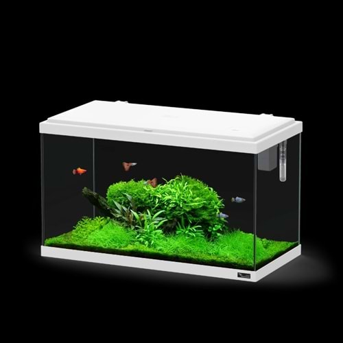 EXPLORER PARIS 60 COR025 LED EQP Beyaz