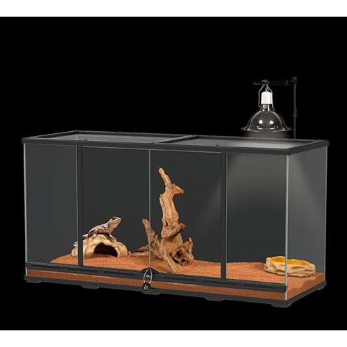 Terratlantis KIT POGONA ADULT Teraryum Seti