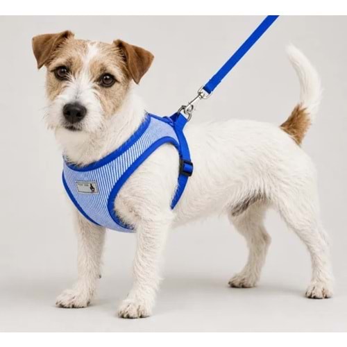 21-2-31 CADOPET FİLELİ BEL TASMA TAKIM (L)