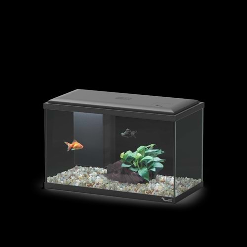 EXPLORER LISBON COR001 LED BIO Siyah