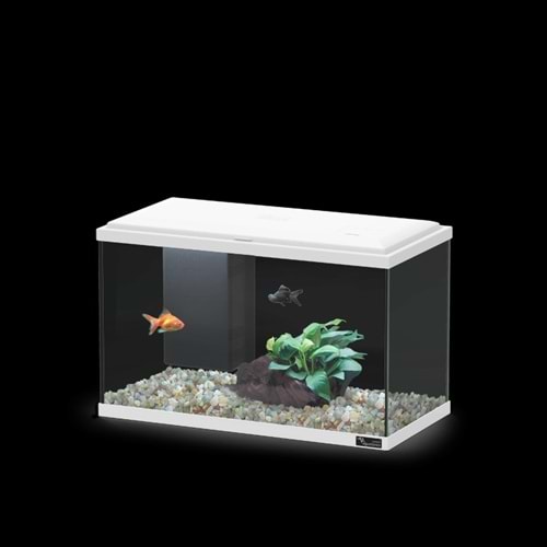 EXPLORER LISBON COR025 LED BIO Beyaz