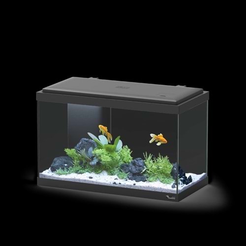 EXPLORER VIENNA COR001 LED BIO Siyah