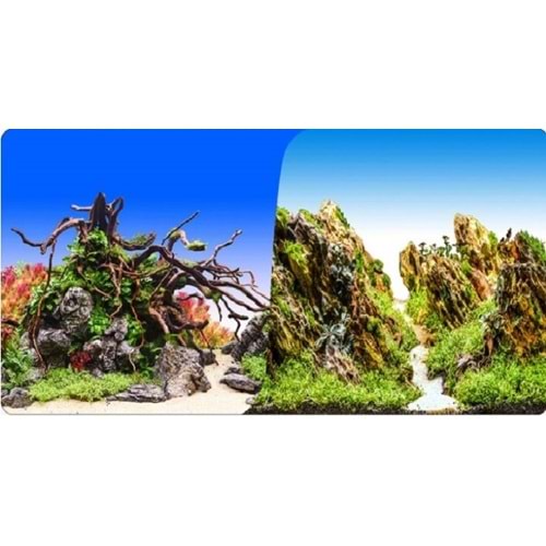 Plastik Poster Kaya Bitki 30 Cm 15 Mt