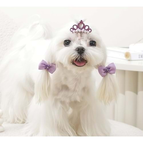 60900099 GLAM KÖPEKLER İÇİN AKSESUAR TOKA PURPLE