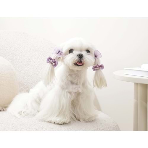 60900499 GLAM KÖPEKLER İÇİN AKSESUAR TOKA PURPLE