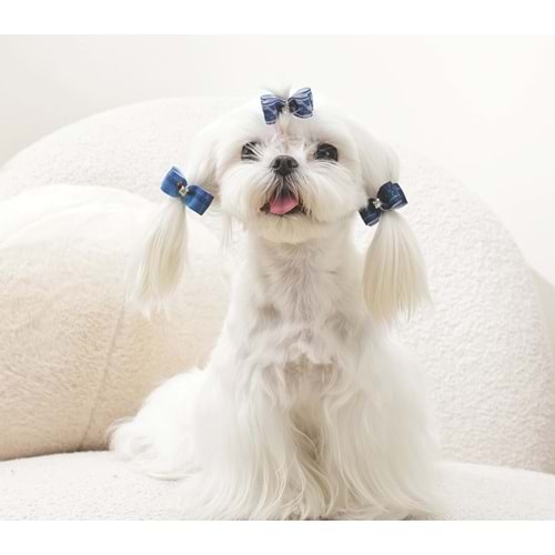 60900999 GLAM KÖPEKLER İÇİN AKSESUAR TOKA BLUE