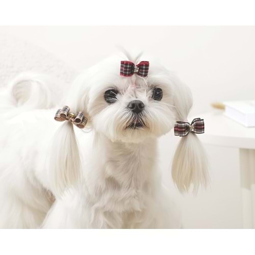 60901099 GLAM KÖPEKLER İÇİN AKSESUAR TOKA RED