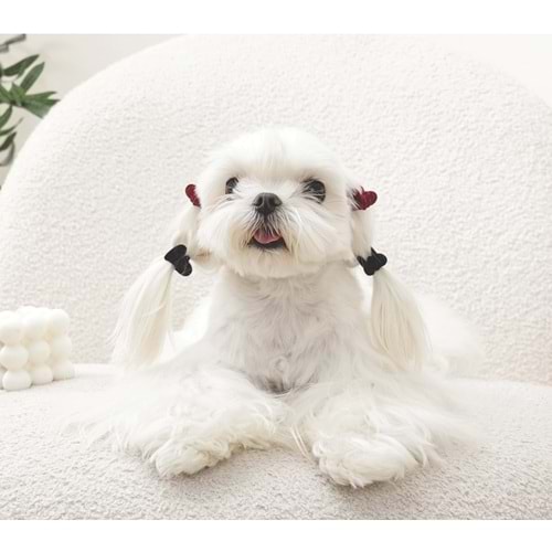 60901199 GLAM KÖPEKLER İÇİN AKSESUAR TOKA BLACK/RED