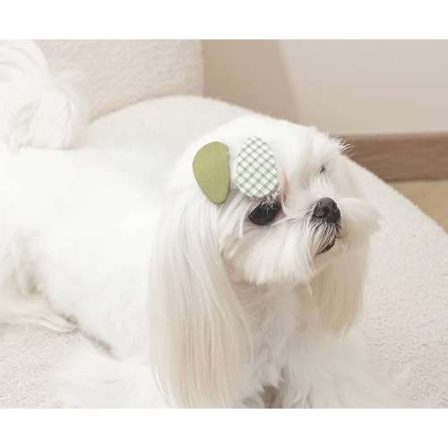 60902199 GLAM KÖPEKLER İÇİN AKSESUAR TOKA GREEN